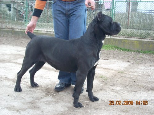 9827-Picture 008.jpg, 131 KB