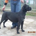 Djina-buduca mama/Djina future mom ;)