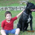 Djina sa malim Matejom / Djina with my son Mateja