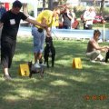CAC Kragujevac - Djina BOB i junior BOG V1 / CAC Kragujevac - Djina BOB and junior BOG V1 ;)